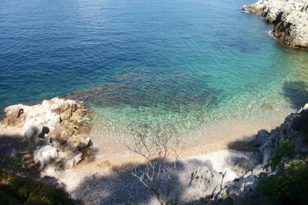 Coeur De Juan, Calme, 300M Plages - Easy Check-In Antibes Eksteriør bilde